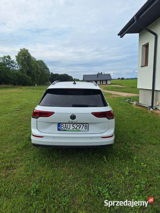 Sprzedam VW GOLF VIII salon polska Golf Bargłów Dworny