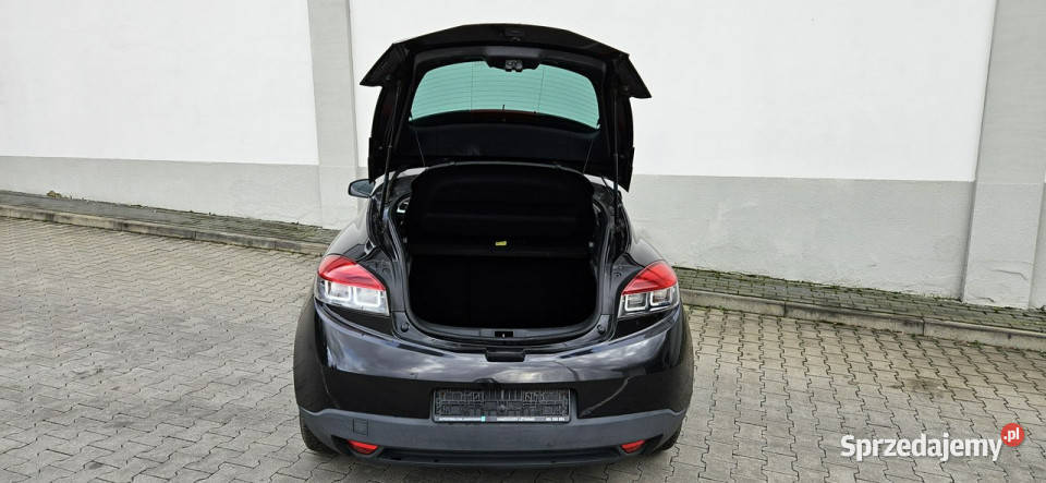Renault Megane Niski przebieg Serwis Orgszyby lakier metallic
