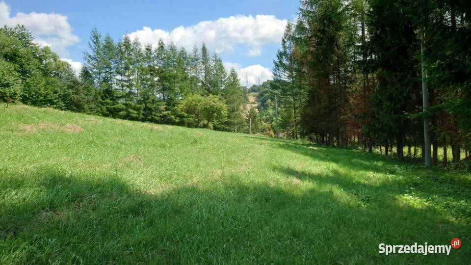 Działka BUDOWLANA 30 ary Bieszczady Bóbrka k Solina
