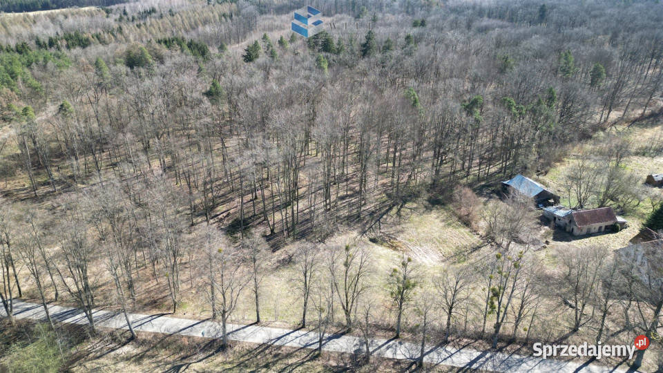 sprzedaży gruntu 3500m2 Jędrychówko