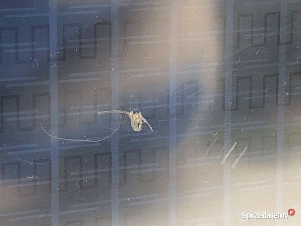 RADIO HONDA CRV IV 39100T1VG61M1 ODTWARZACZ