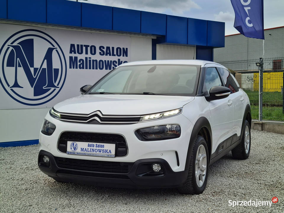 Citroen C4 Cactus Salon Navi 2xPDC Kamera Grzane wielkopolskie Wągrowiec sprzedam