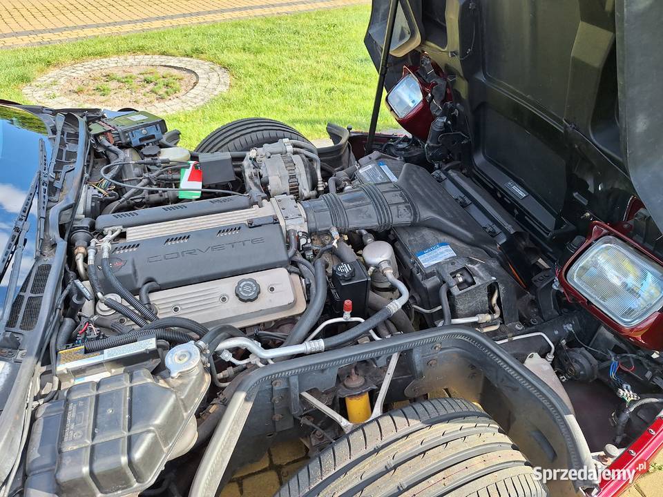 1992 Chevrolet Corvette C4 LT1 Corvette sprzedam