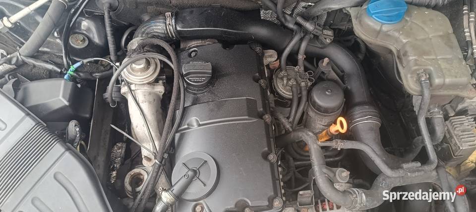 Silnik 19 AVX Audi A4 B6 m1 Blok silnika Myszków