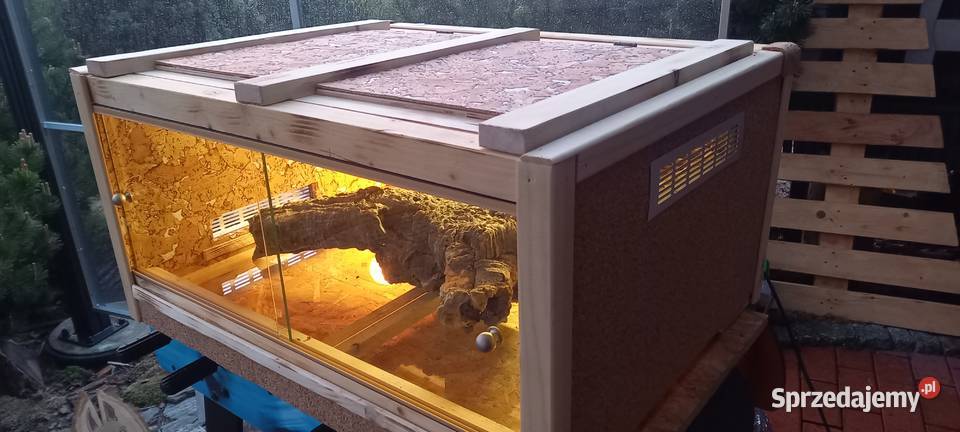 Żółw grecki i piękne terrarium Opole