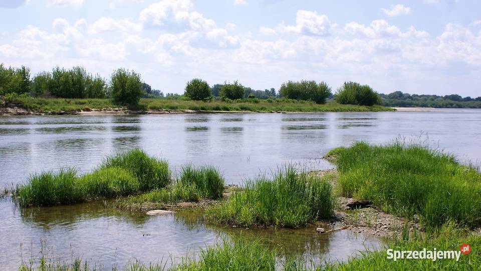 Działki budowlane 9700m2 kZakroczymia 60 m2 Wygoda Smoszewska