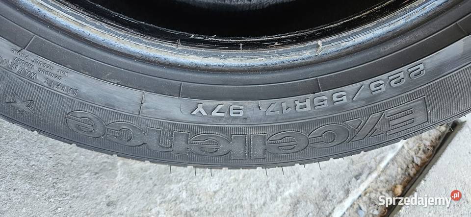 Goodyear Excellence w rozmiarze 22555 R17 lato Bełchatów
