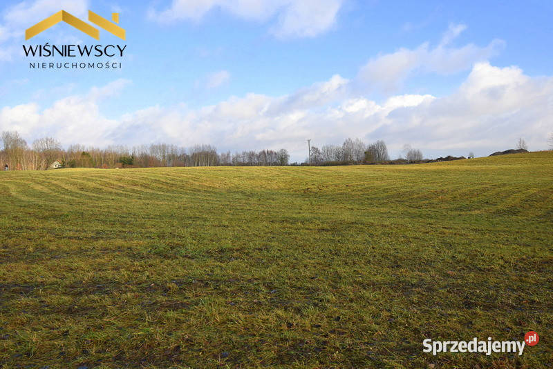 Działka budowlana 4226 m2 5 Olsztyna Klebark Wielki sprzedam