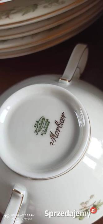 Sosjerka Serwis Morbar Liście na złoconej pomorskie Gdańsk