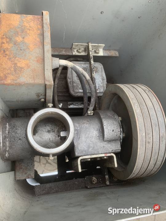 Wilk do mielenia mięsa