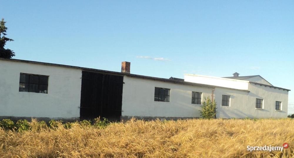 gospodarstwo rolne kujawsko-pomorskie Wymokłe