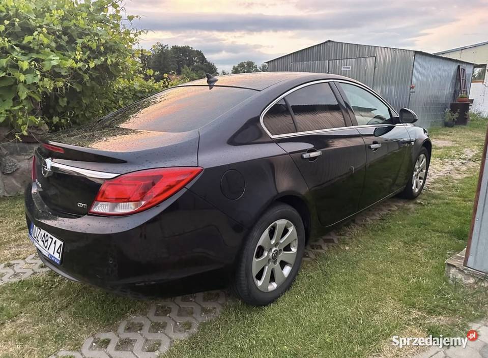 Opel Insignia 20 CDTI 160 Automat Skóry duzym nieuszkodzony warmińsko-mazurskie