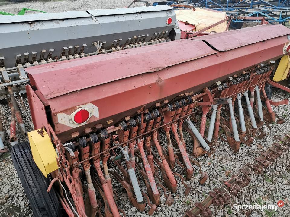 Siewnik poznaniak Jarocin