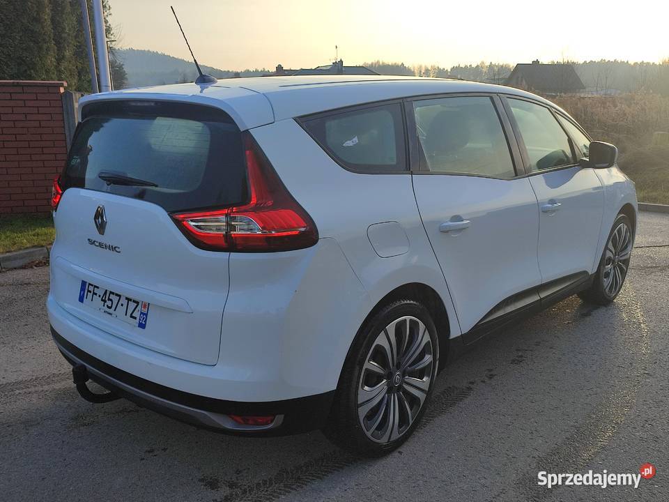 SCENIC IV 17 dCi 7 osób 123000 świętokrzyskie Kielce