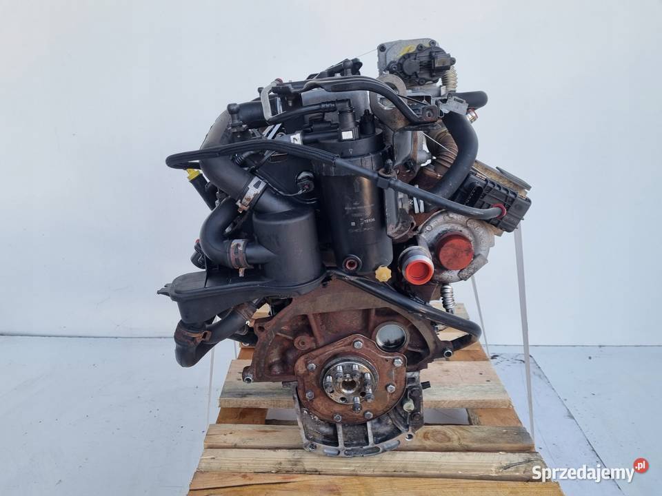 SILNIK KOMPLET Ford C C 18 TDCI 115 ładnie pali lubelskie Chełm sprzedam