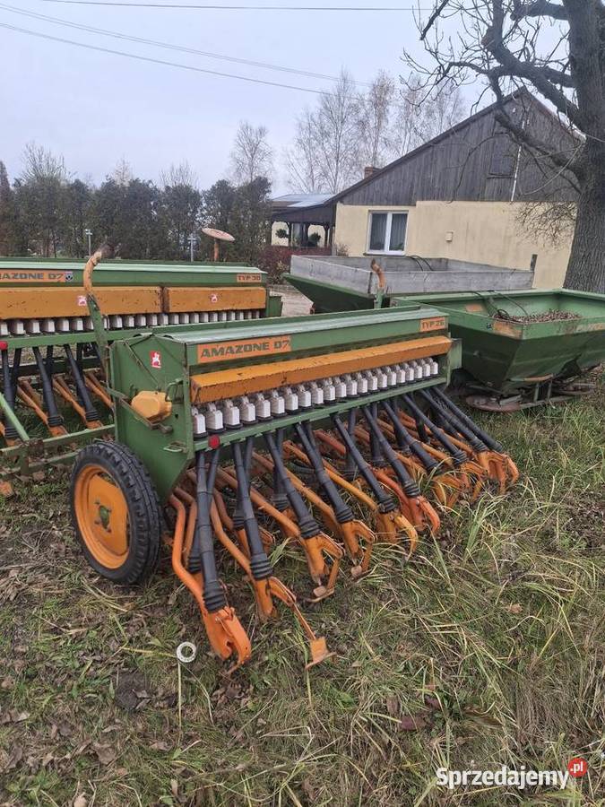 Siewnik amazone Radoszyce