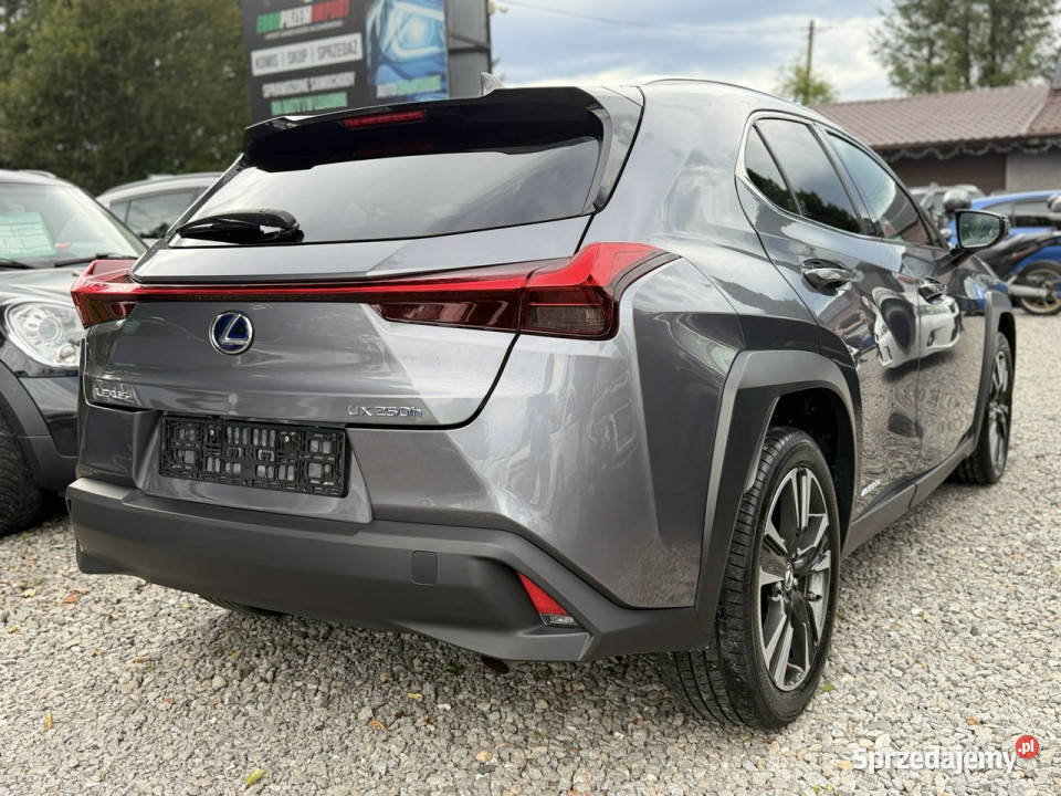 Lexus UX 20 Hybrid Skóra Ful LED Premium Łodygowice
