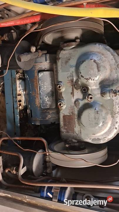 ELECTRO FREEZE zachodniopomorskie Nowogard