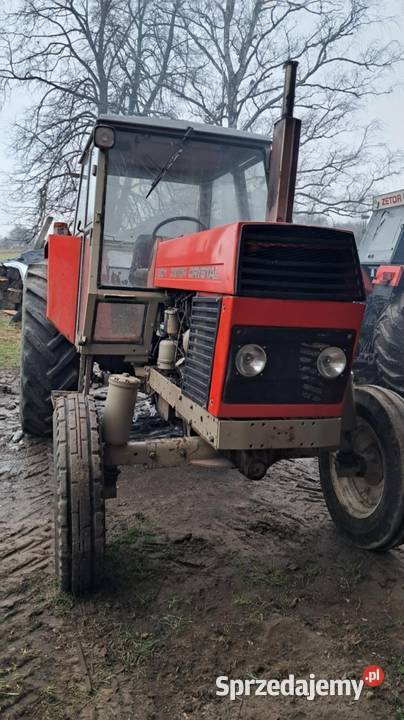 Zetor Crystal 8011 Sejny
