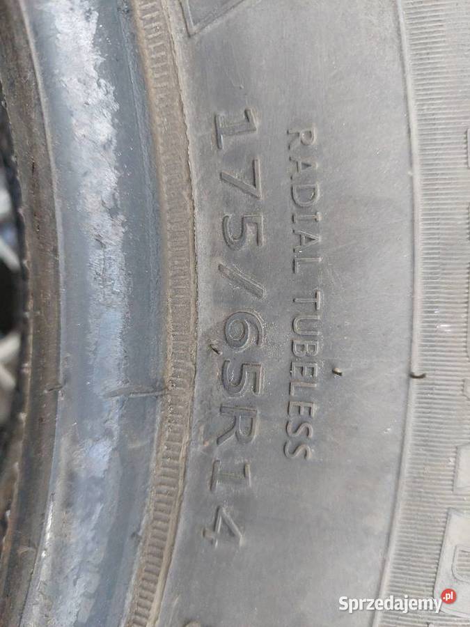 2019 Opony Zimowe Jednym Sezonie 1756514 Komplet 65