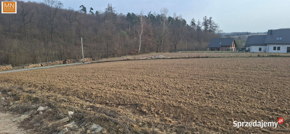 Grunt na sprzedaż Łuczyce Pod Lasem 698m2