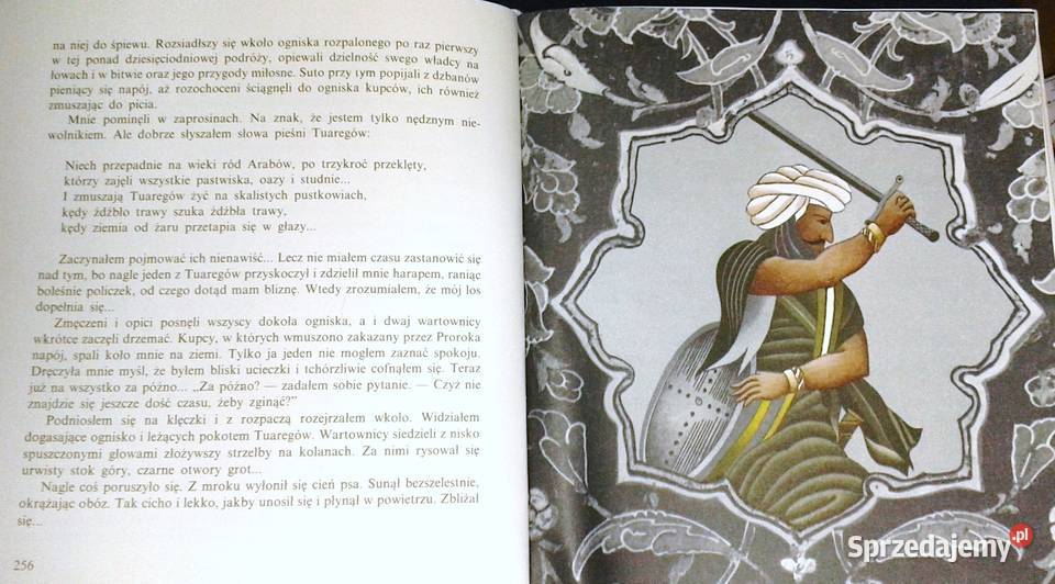 Długa podróż Alego ben Hafiza Maria Korewa Chełm