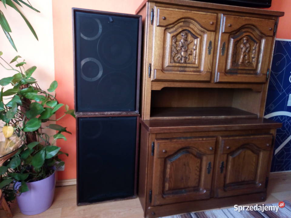 Kolumny THOMSON śląskie Gliwice sprzedam