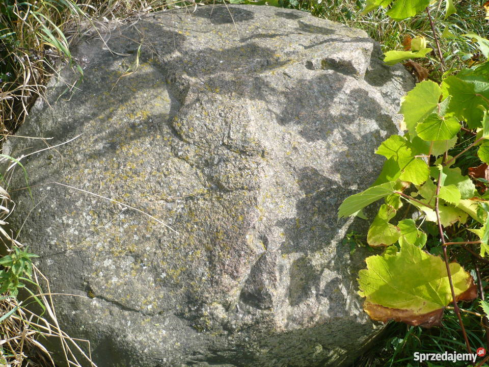 Głaz kamień średnica ponad 1 m lubelskie Lubień