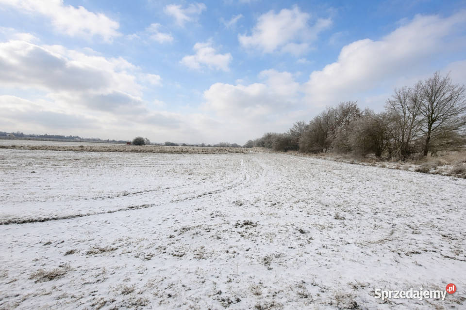 Działka pod hale magazynowo produkcyjną Smolęcin sprzedam