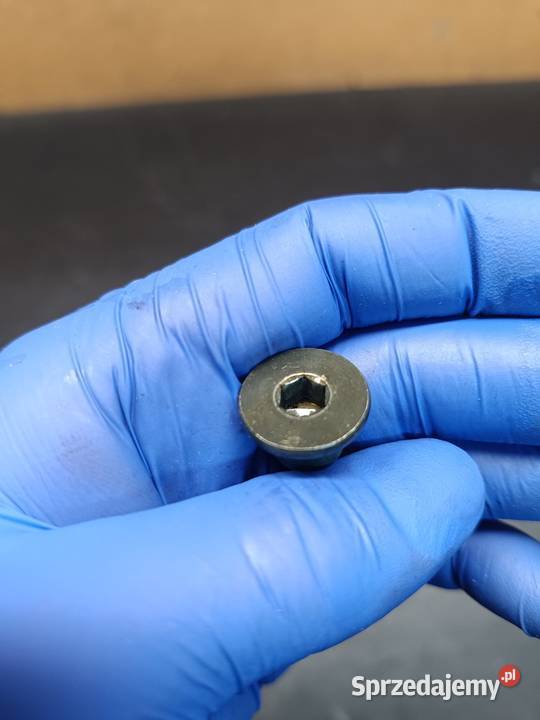 Śruba śrubka ślizg łańcucha rozrządu silnik Pozostałe Gołaczewy