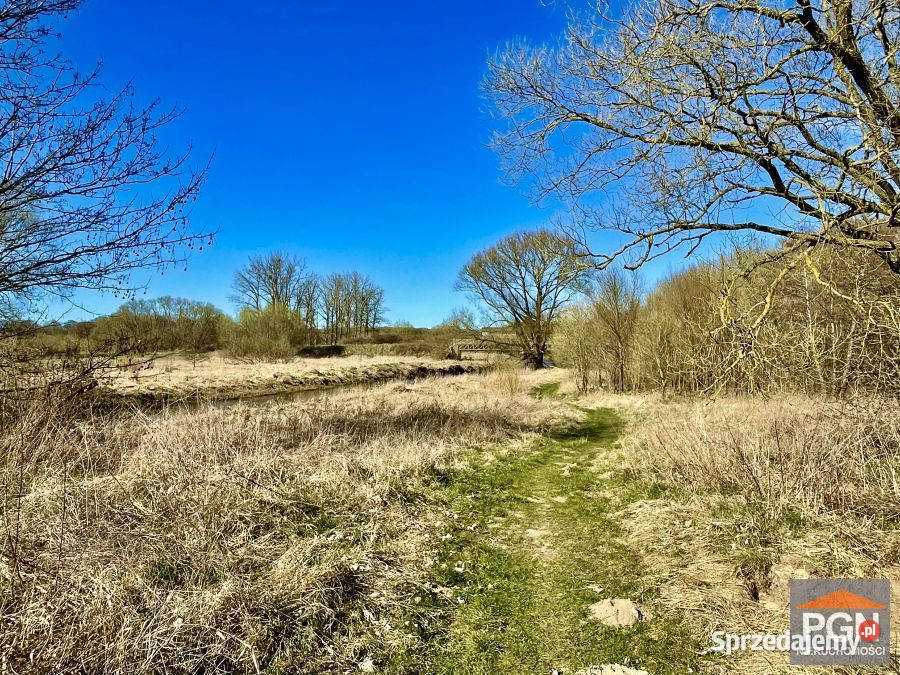 sprzedaży gruntu Trzebiatów 1863 metry 1863m2 Sprzedaż sprzedam