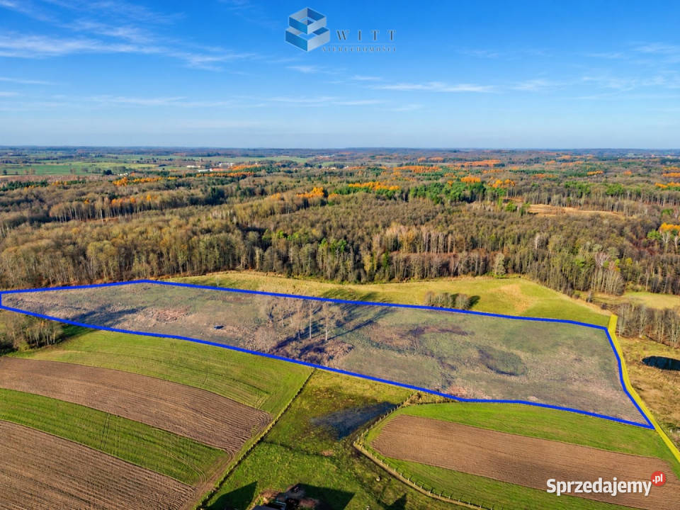 Sprzedam grunt Jędrychówko 53400m2 szambo