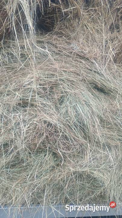 Siano słoma Sokoły