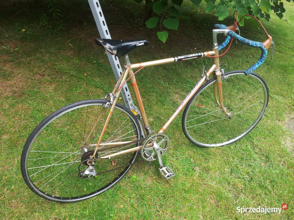 stary zabytkowy szosowy rower vintage Mountain Bełchatów