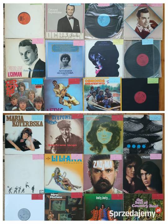 Płyty winylowe Gigantyczny MIX do wyboru do Sułów