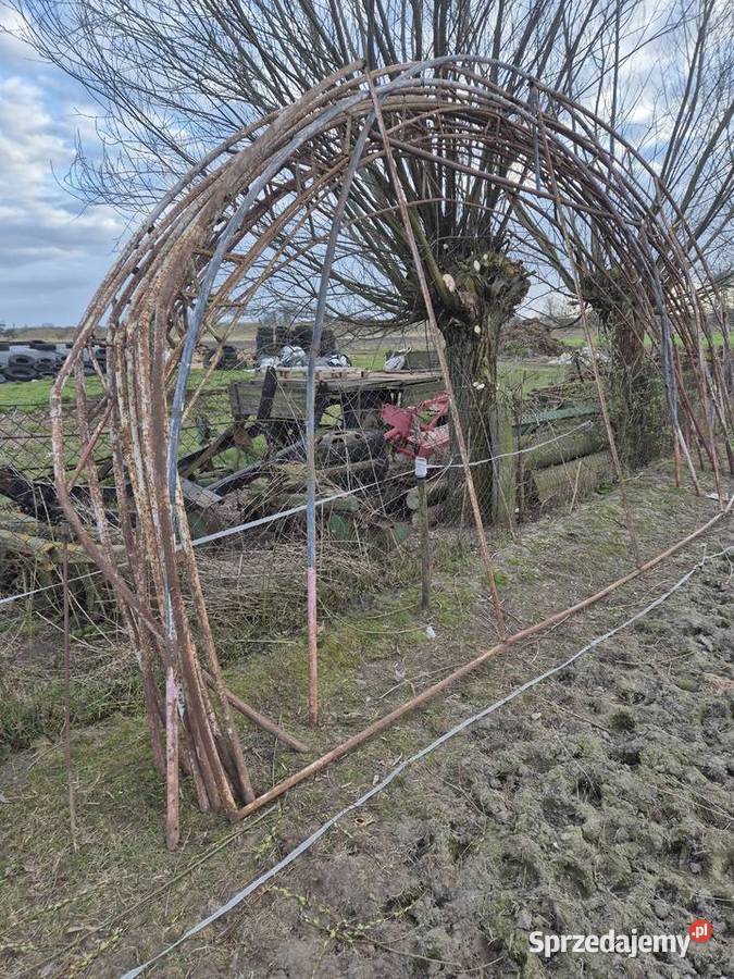 Foliowiec Opalenica sprzedam