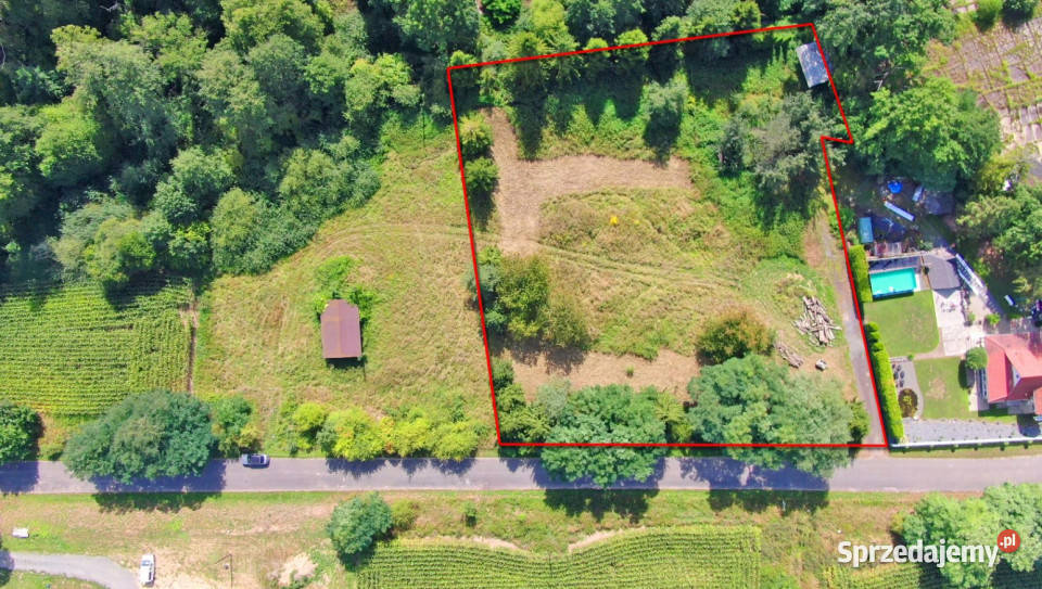 Działka 3701 m w Lwowianach WZ duży potencjał Lwowiany