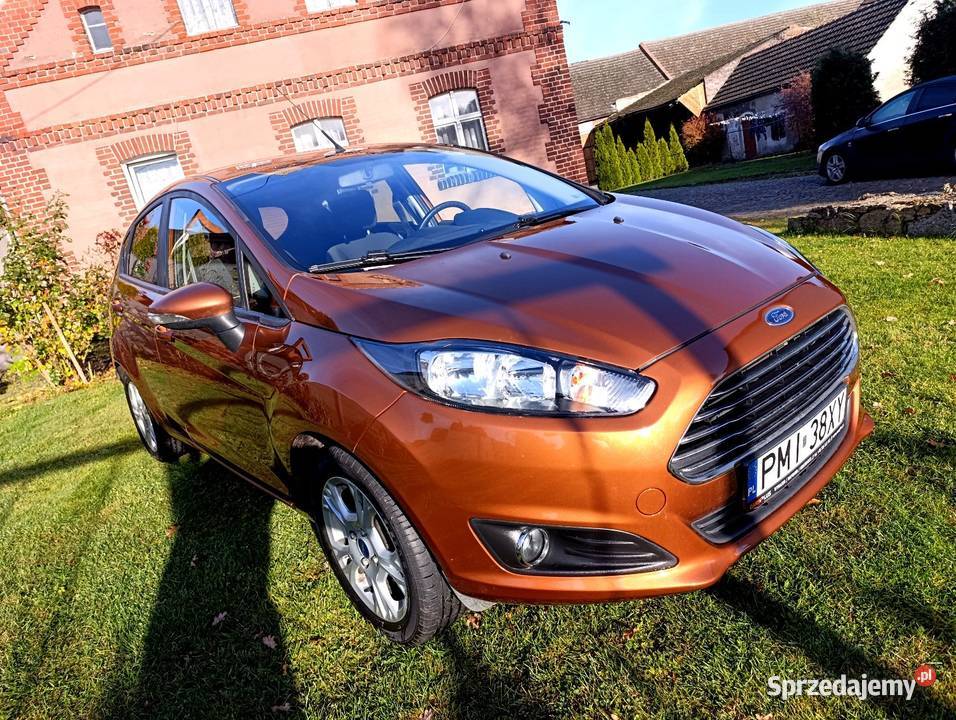 Ford Fiesta 10 ben 100 2013r śliczna Polski Żary