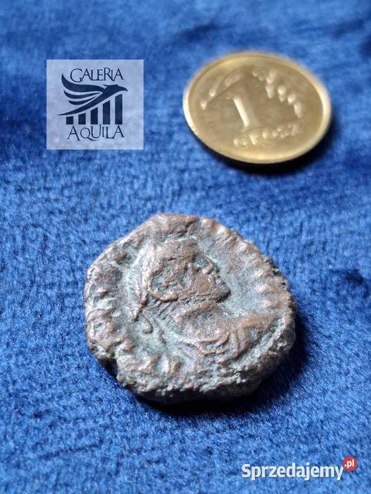 Tetradrachma Maksymian Aleksandria Numizmatyka Wejherowo