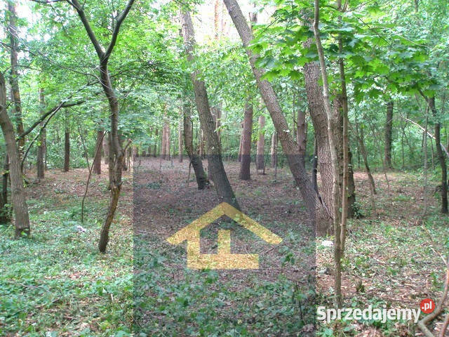 Działka leśna w Otwocku Otwock