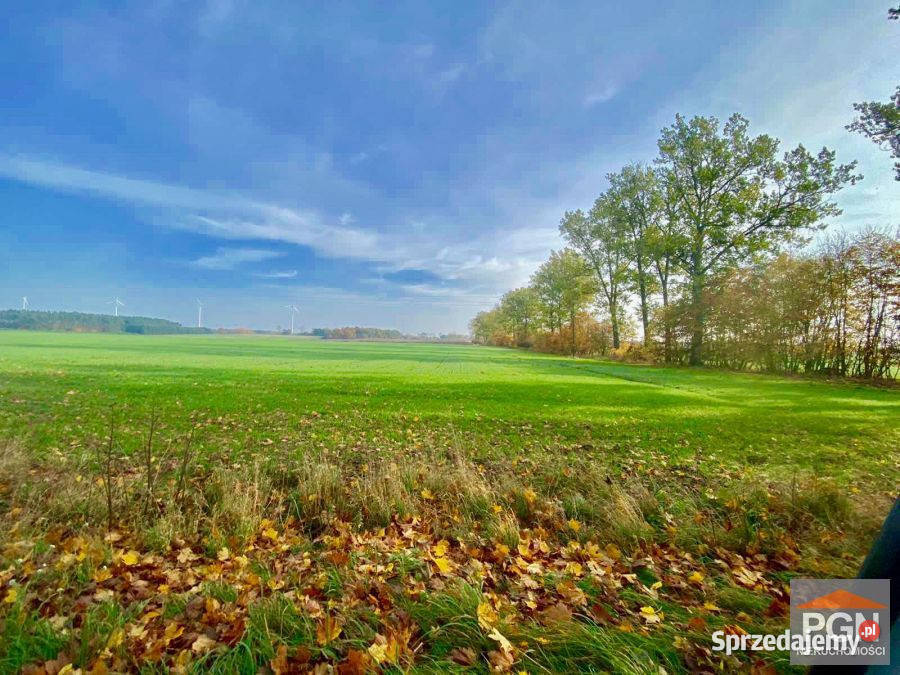 Działka do sprzedania Resko 10200m2