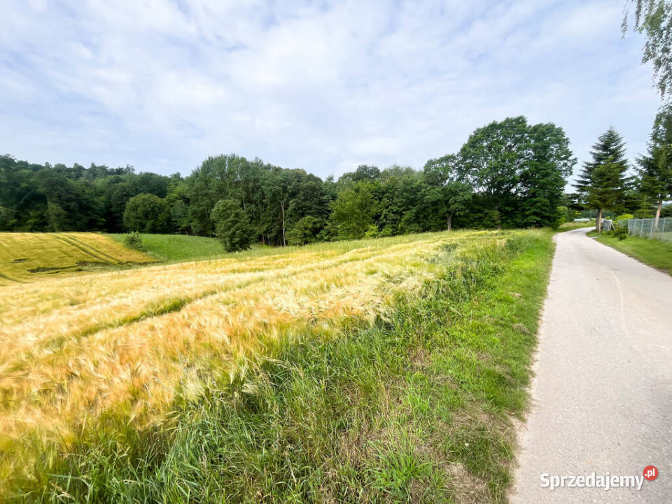 Ustawna działka z WZ 8300m2 Czajęcice
