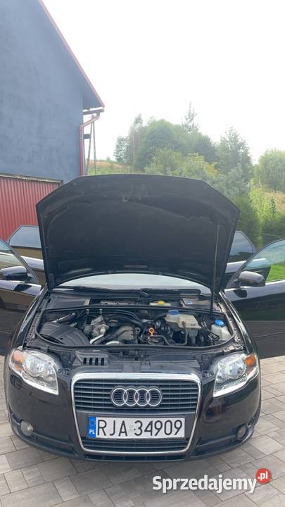 Audi a4 b7 19tdi Frysztak sprzedam