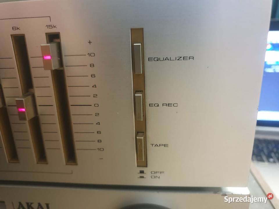 Pioneer sg 300 korektor graficzny Leżajsk