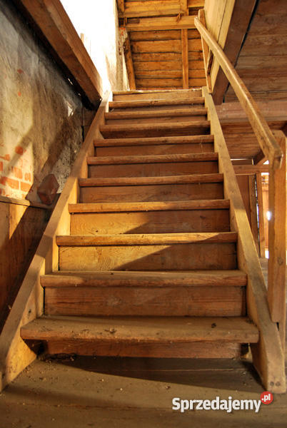 siedlisko 12 ha DOM na Żuławach 120 m2 Pordenowo