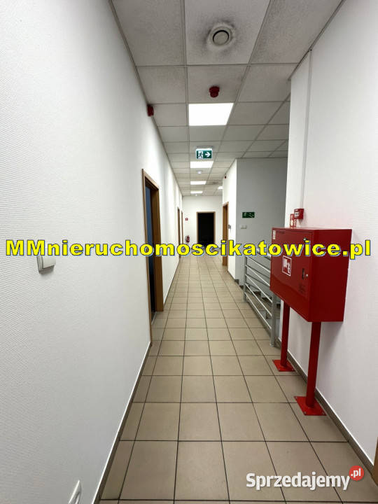 Magazyny do wynajęcia Katowice autostradzie A4 0 sprzedam