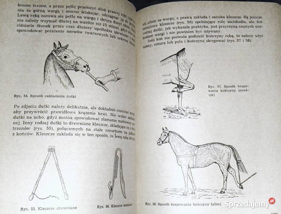 Zoohigiena Edward Szyfelbejn Chełm sprzedam