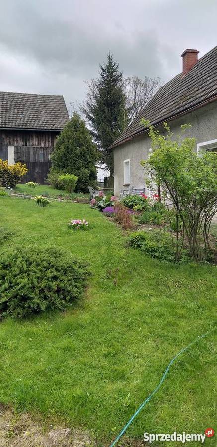 Sprzedam dom w WoliborzuKotlina Kłodzka dolnośląskie Wolibórz