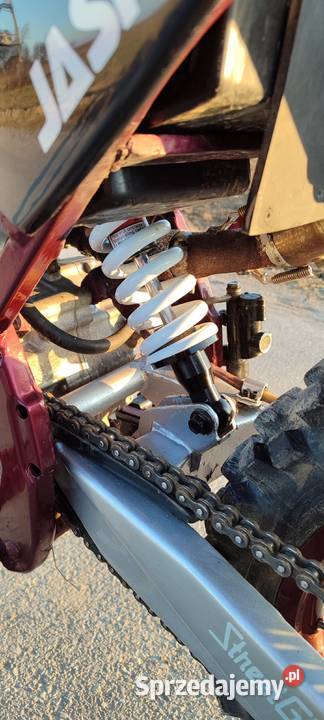 Diabolini 250 lubelskie