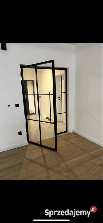 Drzwi loftowe drzwi loft szklane stal szprosy Drzwi wewnętrzne sprzedam